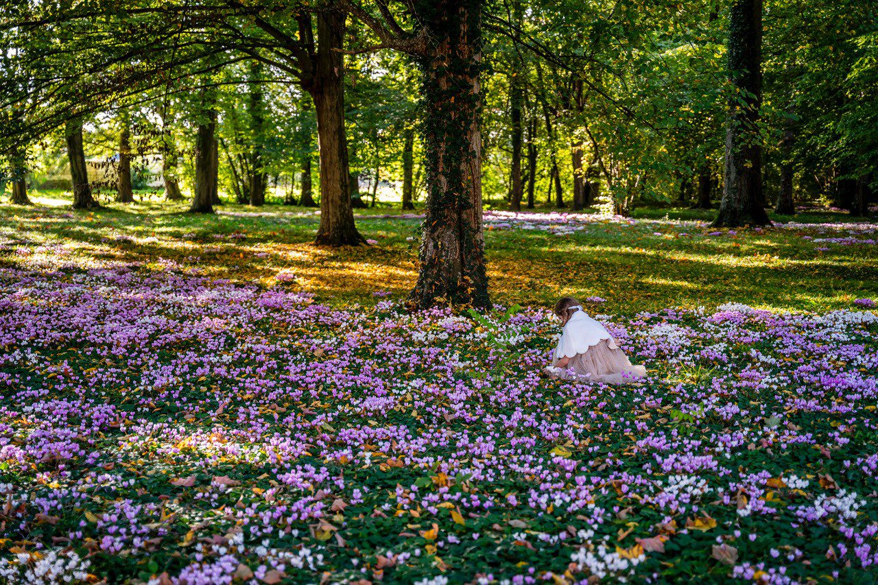 Petite fille en robe rose dans une clairière fleurie, ambiance naturelle captée par Déborah Bernard